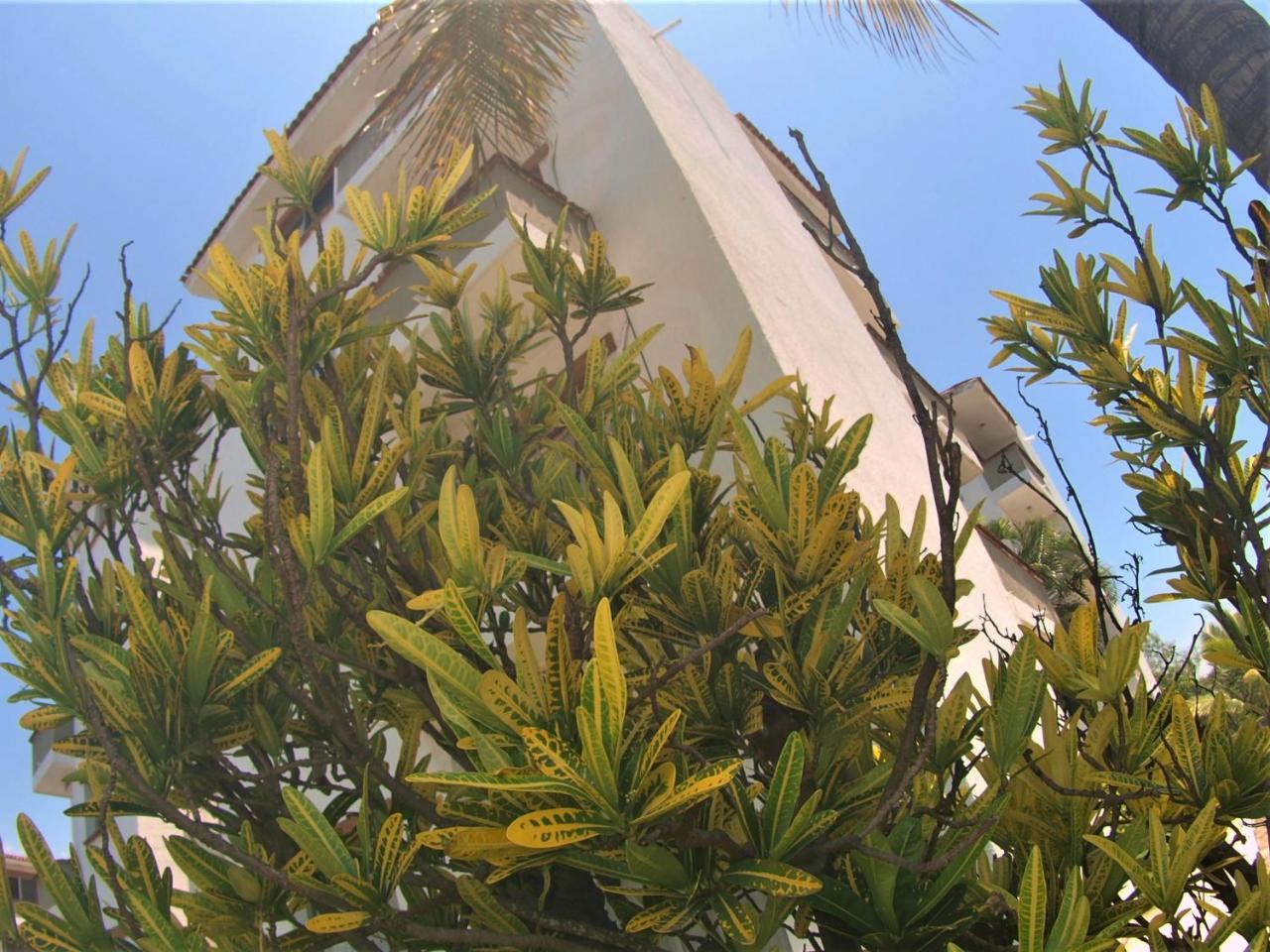 Suites Las Palmas Hotel Y Villas Manzanillo Zewnętrze zdjęcie